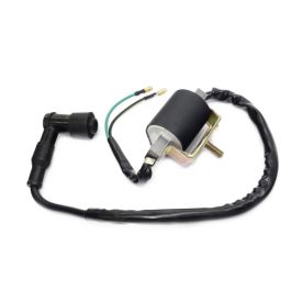 Cewka zapłonowa motorower/ATV 2 kable