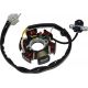 STOJAN ALTERNATORA POWER FORCE ATV 110 6 CEWEK NS150FMH-100009