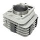 Cylinder NXT125 typ II