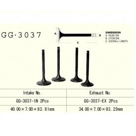 VESRAH - ZAWÓR WYDECHOWY SILNIKA GG-3037-EX