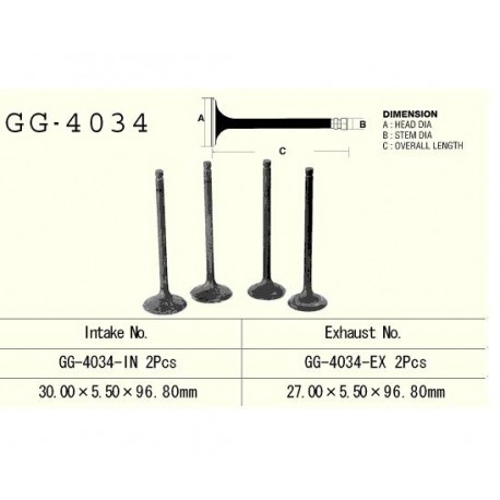 VESRAH - ZAWÓR SSĄCY SILNIKA GG-4034-IN