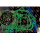 ZESTAW USZCZELEK HONDA CR 250 R (02-07) 808264, UKT001128