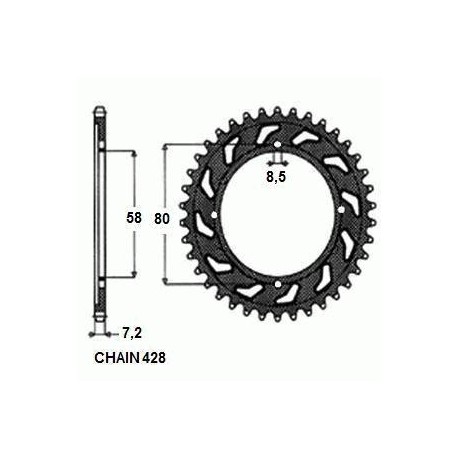 ZĘBATKA NAPĘDZANA SUNSTAR SUNR1-2058-43 (JTR810.43)